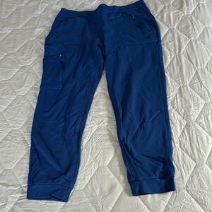 Jaanuu Royal Blue Scrub Pants